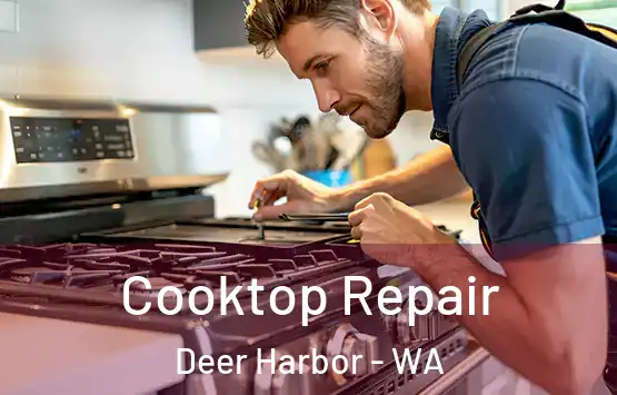 Cooktop Repair Deer Harbor - WA