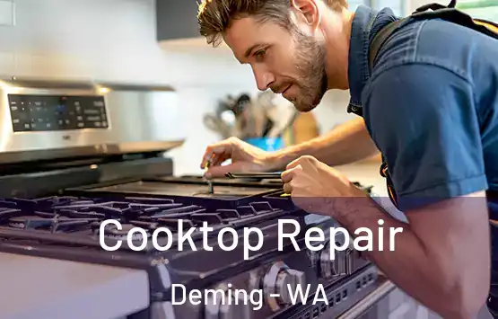  Cooktop Repair Deming - WA