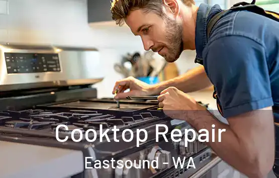  Cooktop Repair Eastsound - WA