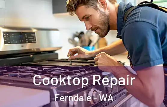  Cooktop Repair Ferndale - WA
