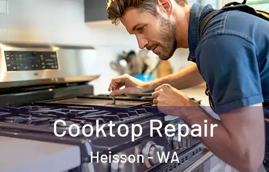  Cooktop Repair Heisson - WA