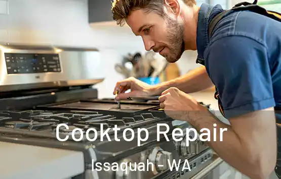  Cooktop Repair Issaquah - WA