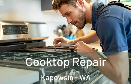 Cooktop Repair Kapowsin - WA