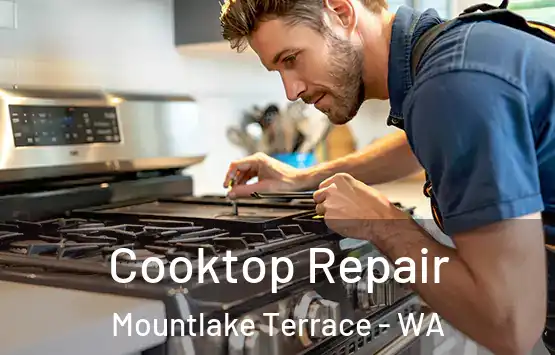  Cooktop Repair Mountlake Terrace - WA