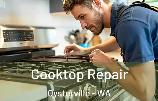  Cooktop Repair Oysterville - WA