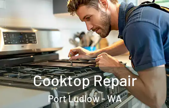  Cooktop Repair Port Ludlow - WA
