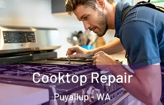 Cooktop Repair Puyallup - WA