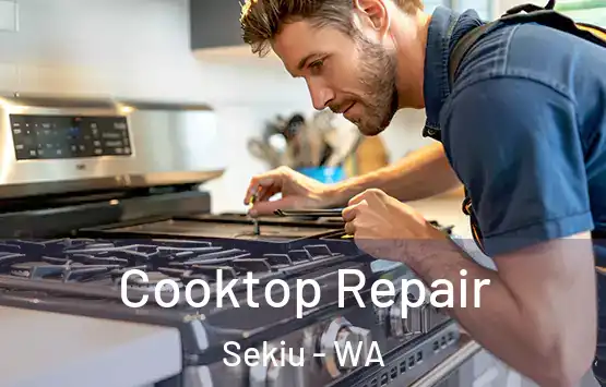  Cooktop Repair Sekiu - WA
