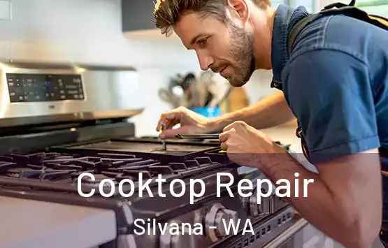  Cooktop Repair Silvana - WA
