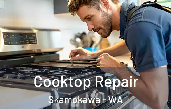  Cooktop Repair Skamokawa - WA