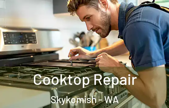  Cooktop Repair Skykomish - WA