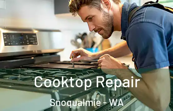  Cooktop Repair Snoqualmie - WA