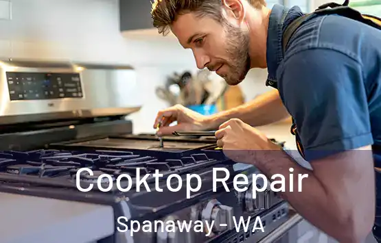  Cooktop Repair Spanaway - WA