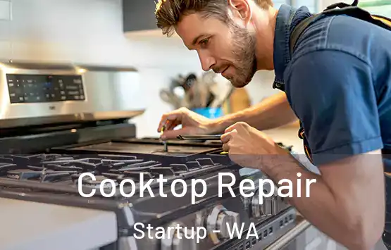  Cooktop Repair Startup - WA