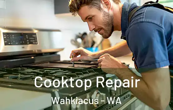  Cooktop Repair Wahkiacus - WA