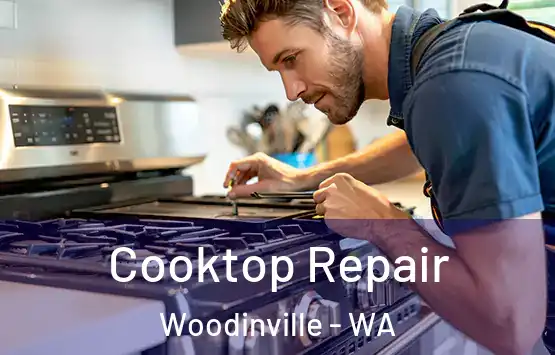  Cooktop Repair Woodinville - WA