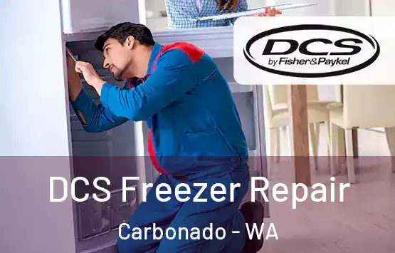  DCS Freezer Repair Carbonado - WA