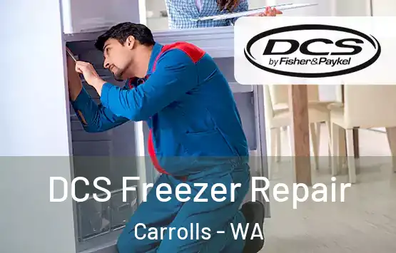  DCS Freezer Repair Carrolls - WA