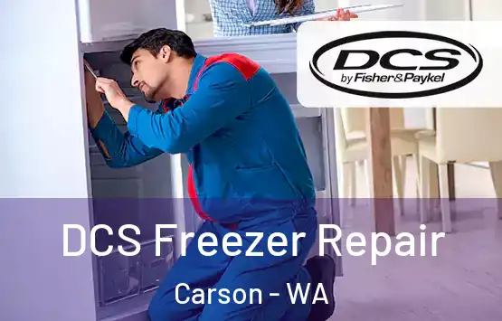  DCS Freezer Repair Carson - WA