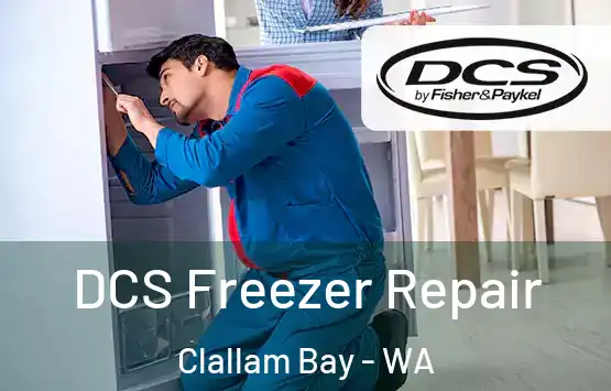  DCS Freezer Repair Clallam Bay - WA