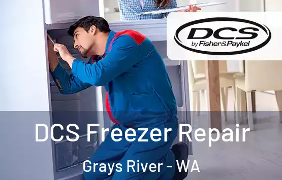  DCS Freezer Repair Grays River - WA