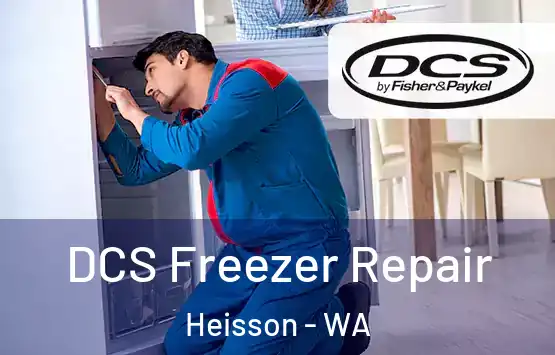 DCS Freezer Repair Heisson - WA