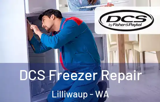  DCS Freezer Repair Lilliwaup - WA