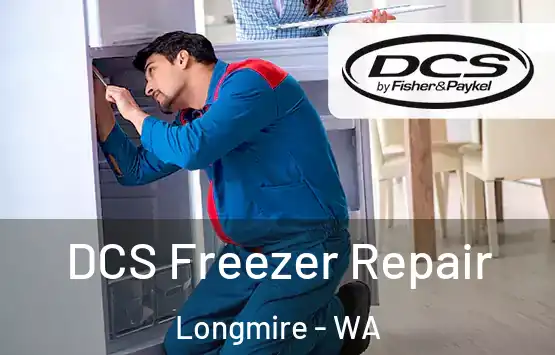  DCS Freezer Repair Longmire - WA