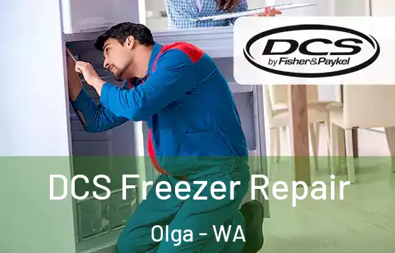 DCS Freezer Repair Olga - WA