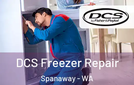  DCS Freezer Repair Spanaway - WA