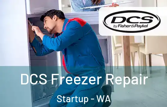  DCS Freezer Repair Startup - WA