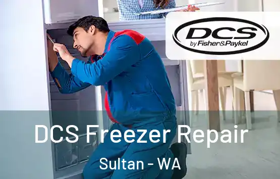  DCS Freezer Repair Sultan - WA