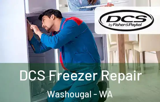  DCS Freezer Repair Washougal - WA