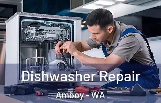  Dishwasher Repair Amboy - WA