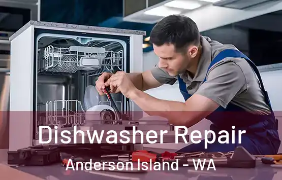  Dishwasher Repair Anderson Island - WA