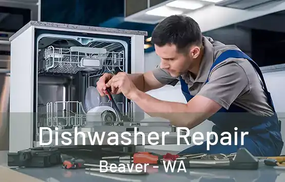  Dishwasher Repair Beaver - WA