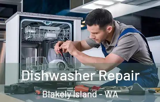  Dishwasher Repair Blakely Island - WA