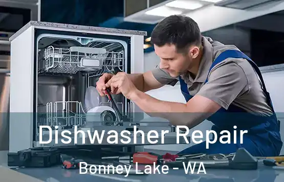  Dishwasher Repair Bonney Lake - WA