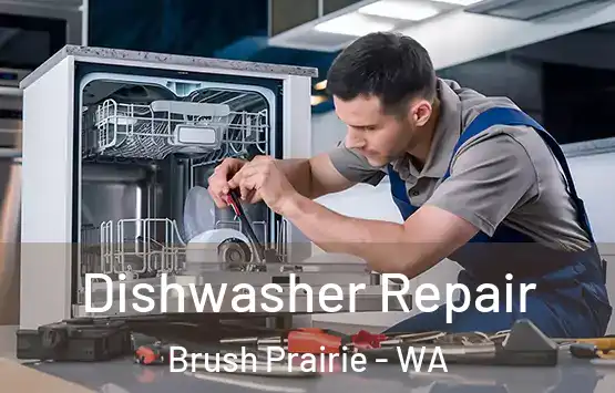  Dishwasher Repair Brush Prairie - WA