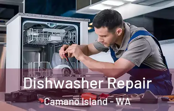  Dishwasher Repair Camano Island - WA