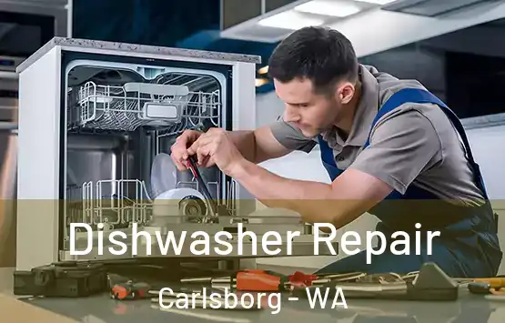 Dishwasher Repair Carlsborg - WA