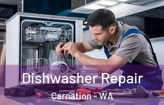 Dishwasher Repair Carnation - WA