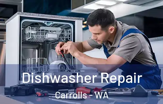  Dishwasher Repair Carrolls - WA