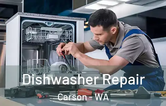  Dishwasher Repair Carson - WA