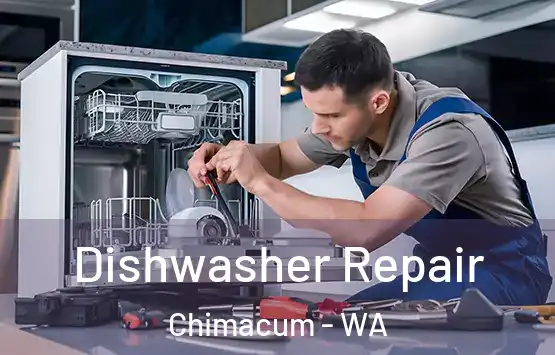  Dishwasher Repair Chimacum - WA