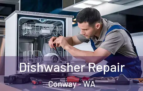  Dishwasher Repair Conway - WA