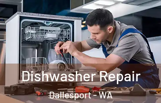  Dishwasher Repair Dallesport - WA