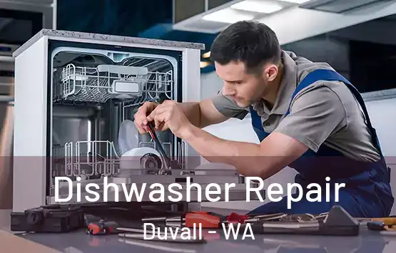  Dishwasher Repair Duvall - WA