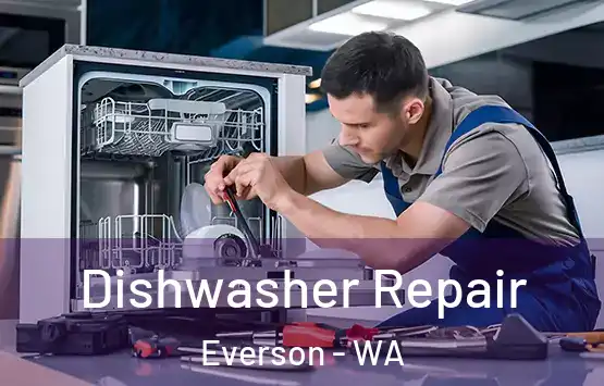  Dishwasher Repair Everson - WA