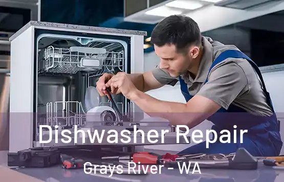  Dishwasher Repair Grays River - WA